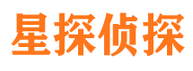 振安出轨调查